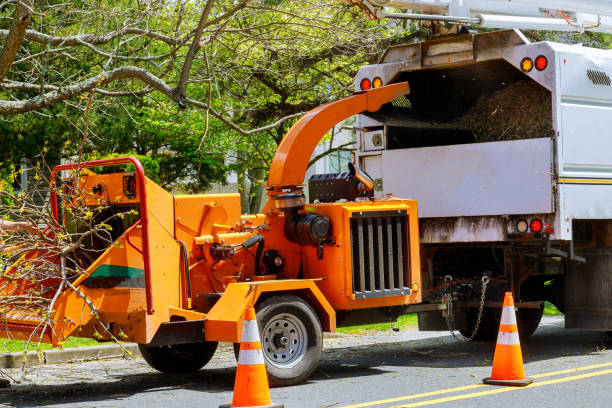 Best Tree Removal Services  in Fords Prairie, WA